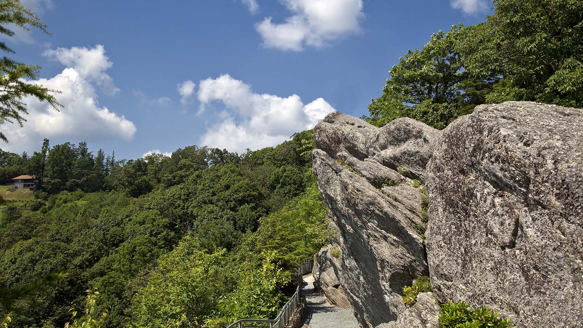 Homes for Sale in Blowing Rock NC High Country Realty