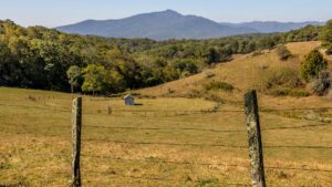 Farms, land and acreage for sale near Jefferson NC