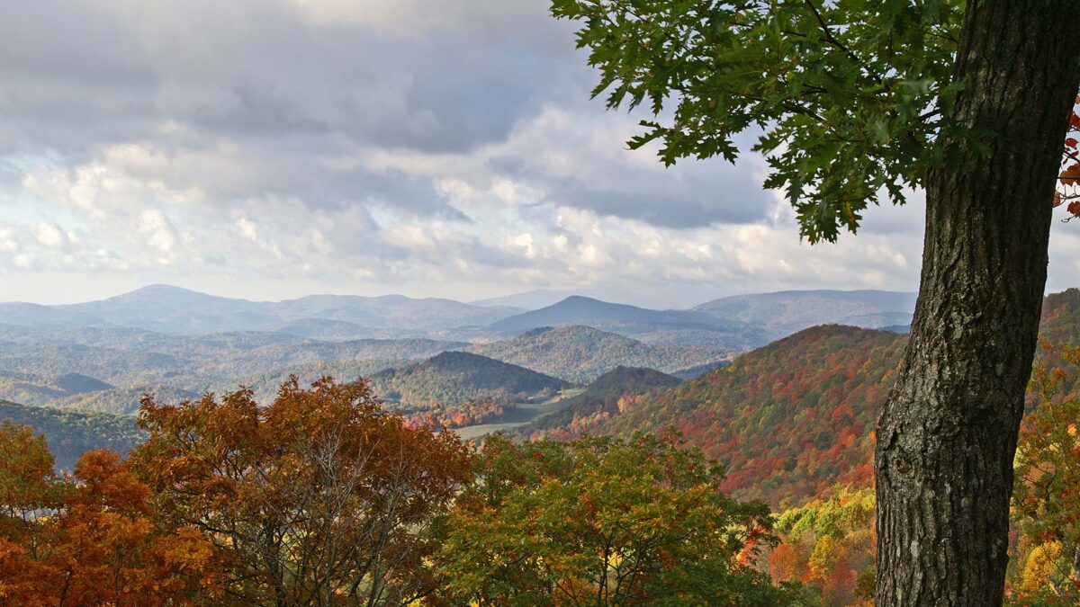 Ashe County NC Real Estate High Country Realty