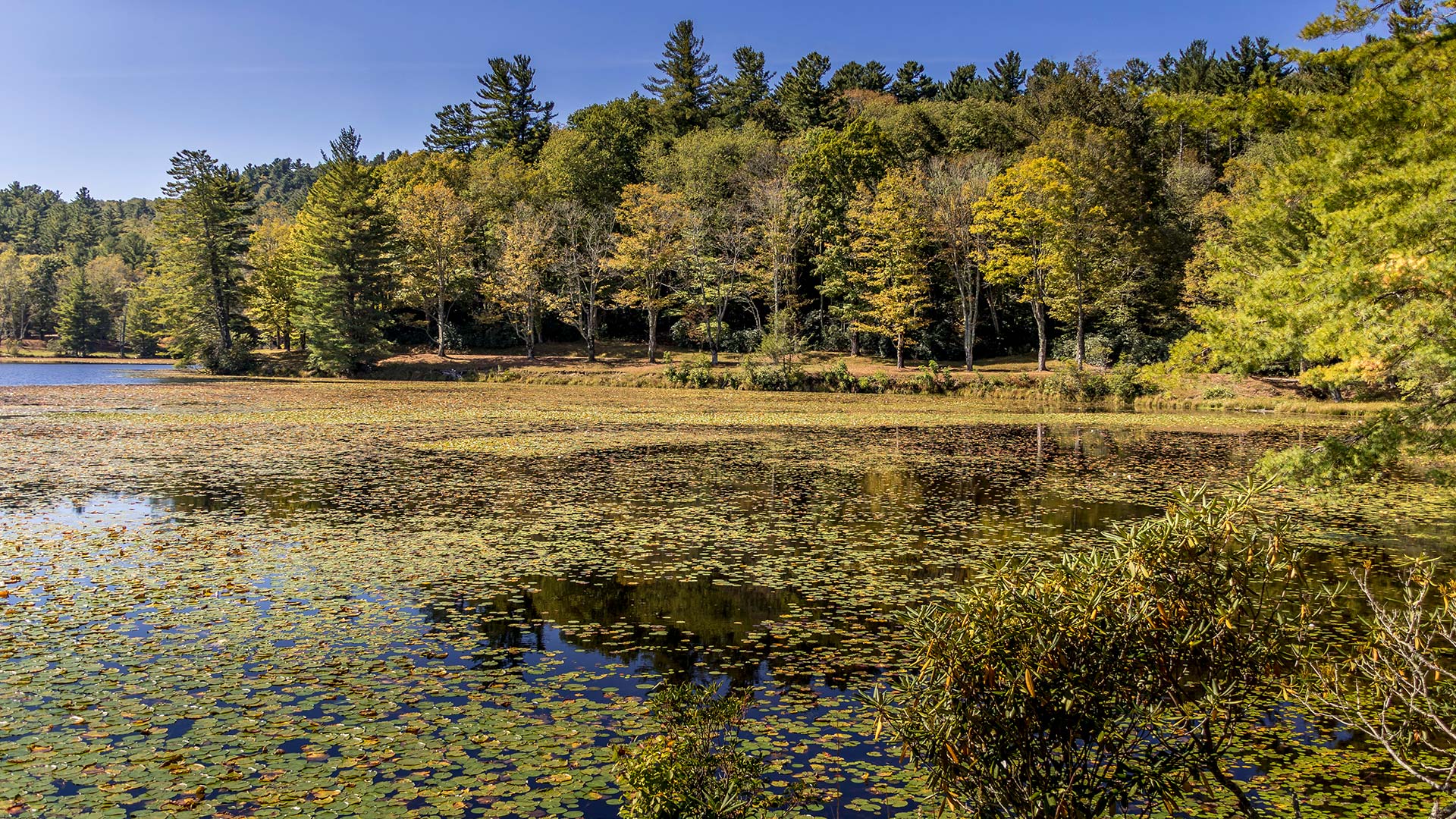 Read About NC Real Estate High Country Realty