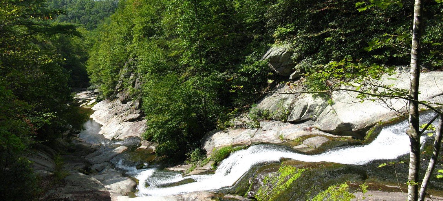 Mountain stream near todd